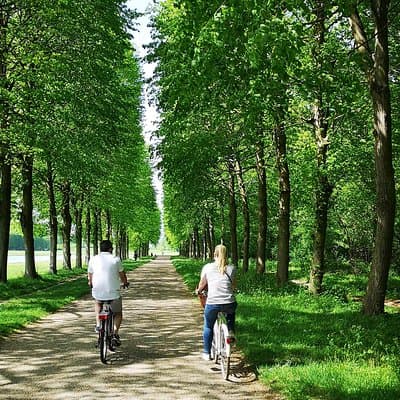 Versailles Bike Tour with Market, Gardens & Guided Palace Tour