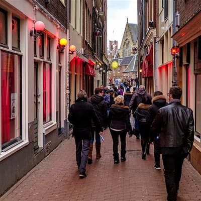 Amsterdam Schiphol Airport Layover 4-6 hours Tour, Airport Pick Up and Drop Off 5