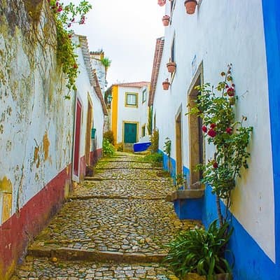 Private Tour to Fatima, Nazaré and Óbidos 3