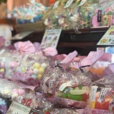 Super Sugamo Local Foodie Adventure 3