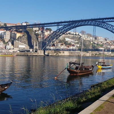 Aveiro / Porto / Gaia full day Private tour 4