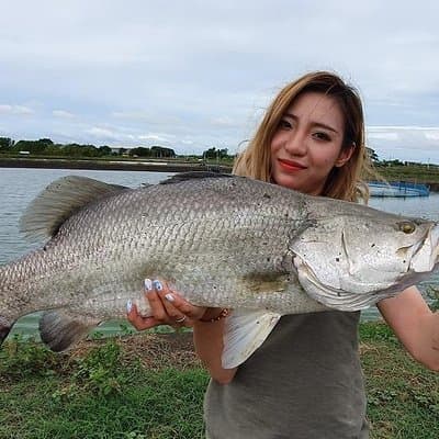Big Barramundi Lure Fishing Thailand