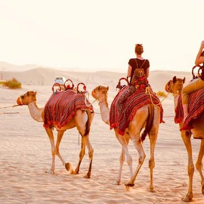 1-Hour Dune Buggy Self-Drive, Camel Ride & Sandboarding Adventure 4