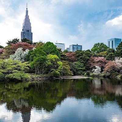 Tokyo Japanese Garden Lover's Private Tour with Government-Licensed Guide 2