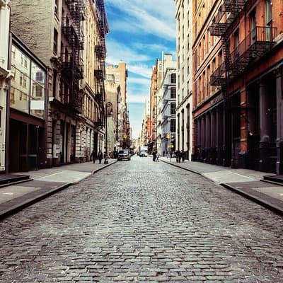New York City Shore Excursion: Pre-Cruise Half-Day Private Tour