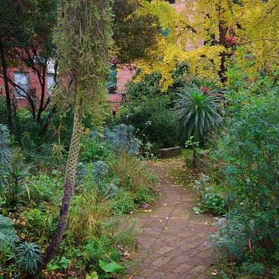 Photography Tour walking the back streets of London's West End (3 hours) 4