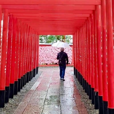Intro to Japan Tour: 8-day Small Group 2