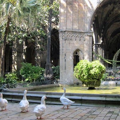 Barcelona Old Town walking tour with official guide 4