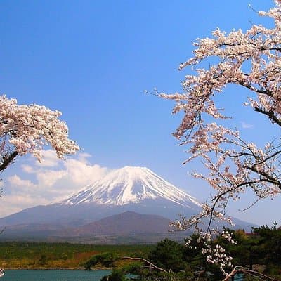 Mt Fuji Private Tour with Native Japanese Driver