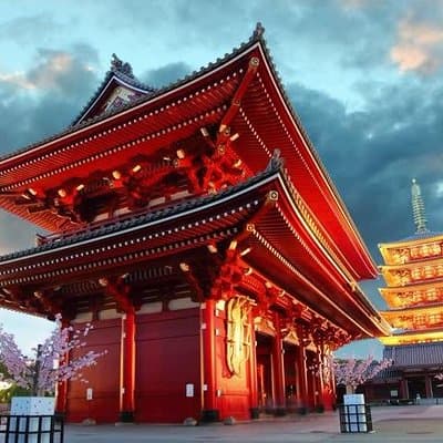 Tokyo Private Tour with Native Japanese Driver 2