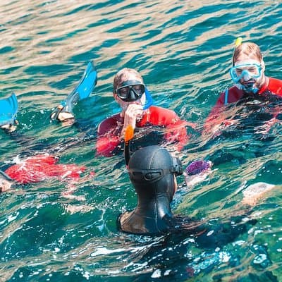 Snorkeling - Marine Park Discovery 2