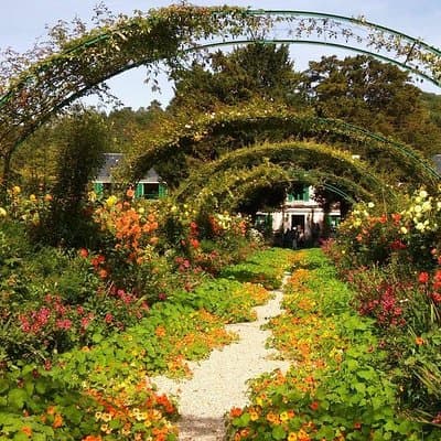 Private 5-hour Round Transfer to Giverny, Claude Monet museum from Paris 4