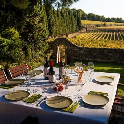 Horseback Ride, Penedes, Wine Tasting & Tapas Private Tour 3