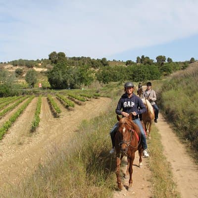 Horseback Ride, Penedes, Wine Tasting & Tapas Private Tour 4