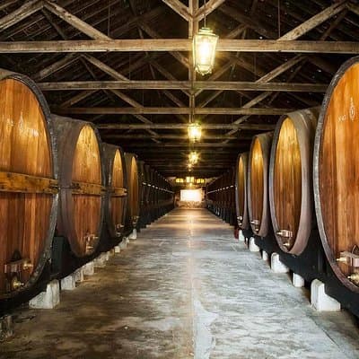 Wine Tour from Lisbon to Seville