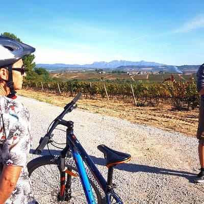 From Barcelona: E-Bike Tour in the vineyards with 2 Wineries 4