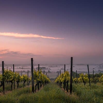 Private Customizable Niagara Winery Tour from Niagara Falls, NY
