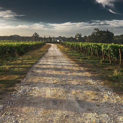 Private Customizable Niagara Falls Winery Tour from Buffalo NY 4