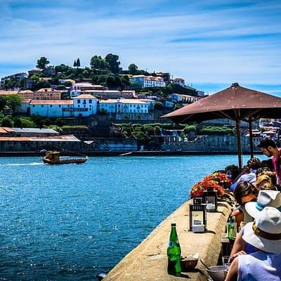 Porto Private Full-Day Tour from Lisbon 5