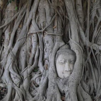 Afternoon Ayutthaya heritage site & River Boat Ride at Sunset
