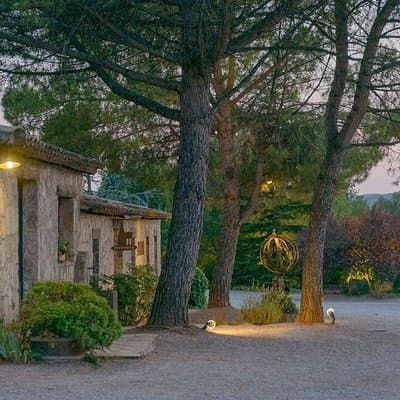 Half Day Private Wine & Oil Tasting Tour near Barcelona with hotel pick up
