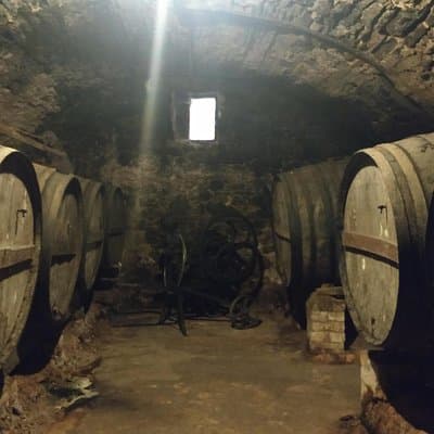 Half Day Private Wine & Oil Tasting Tour near Barcelona with hotel pick up 3