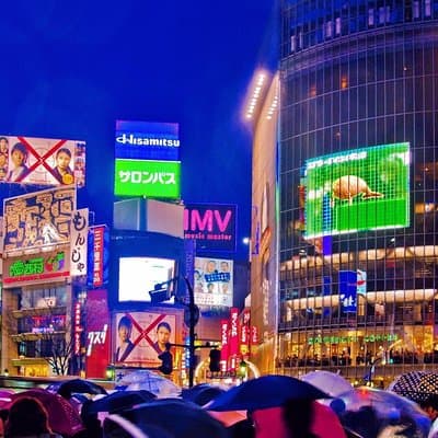 Tokyo City Night View Tour with Native Japanese Driver 4