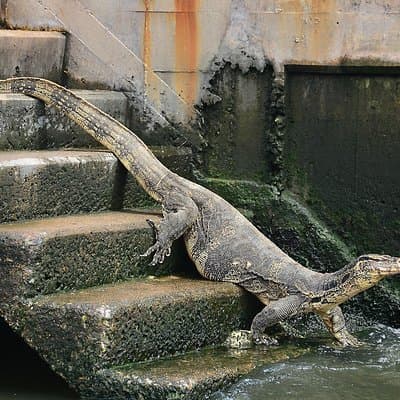 Timeless Thonburi Canal and Food Tour 4