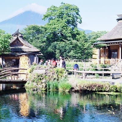 Barrier-Free Private Mt. Fuji Tour for Wheelchair Users 3