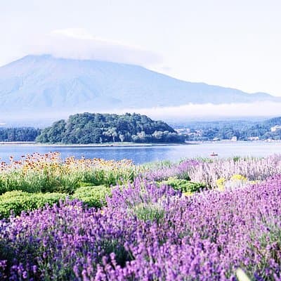 Barrier-Free Private Mt. Fuji Tour for Wheelchair Users 4