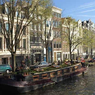 Amsterdam Private Sightseeing Tour for Kids & Families w/Local Guide 4
