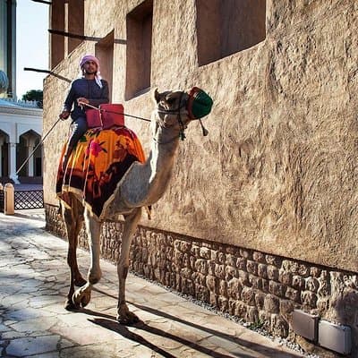 Dubai City Tour private 2