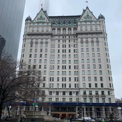 Private Walking Tour: 5th Avenue and the Gilded Age Mansions