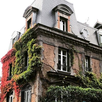 Fat Cat gets the Early Bird: Montmartre 3