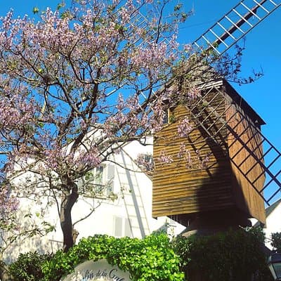 Fat Cat gets the Early Bird: Montmartre 4