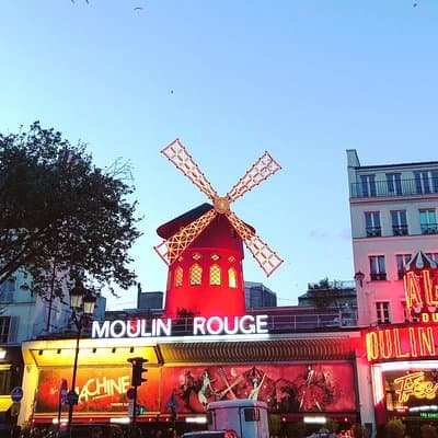 Fat Cat gets the Early Bird: Montmartre 5