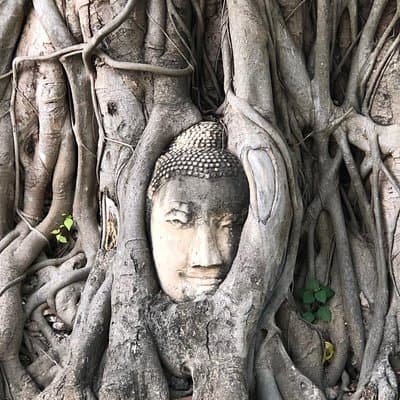 Ayutthaya One Day Tour go by Coach - back by River Cruise - Grand Pearl Cruise