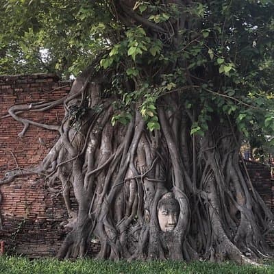 Ayutthaya One Day Tour go by Coach - back by River Cruise - Grand Pearl Cruise 3