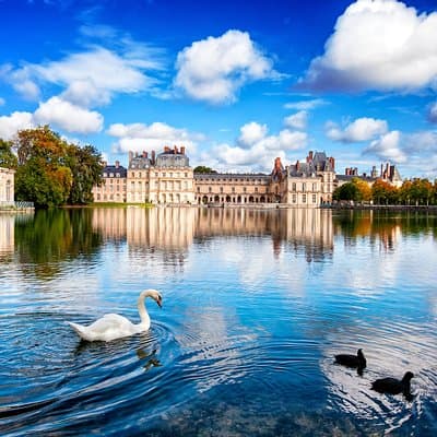 Fontainebleau and Vaux Le Vicomte Private Day Tour from Paris