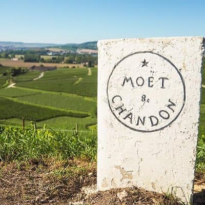 Full-Day Private Guided Tour of Champagne wih Hotel Pickup 3