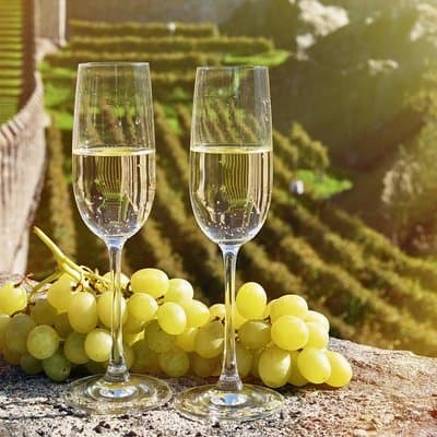 Full-Day Private Guided Tour of Champagne wih Hotel Pickup