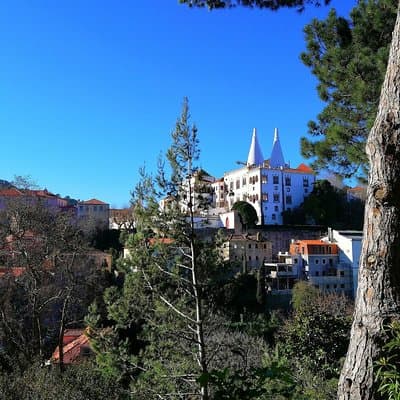 Private Tour to Sintra & Pena Palace, Cascais & Roca 5