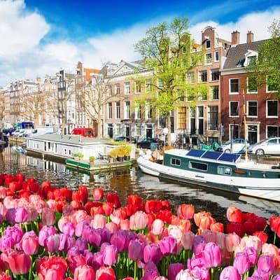 Amsterdam Private Sightseeing Tour for Kids & Families w/Local Guide 3