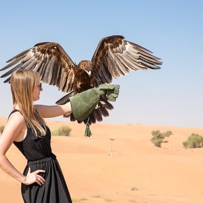 Dubai Evening Desert Safari with ATV Quad Bike & Dinner 4
