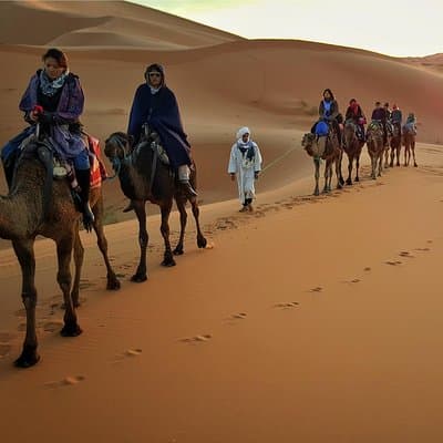 Dubai Evening Desert Safari with ATV Quad Bike & Dinner 3