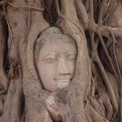In French: Ayutthaya, the ancient capital of Siam 5