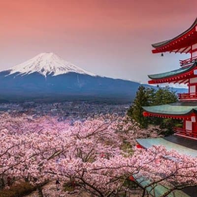 Fuji and Lake Kawaguchi Tour