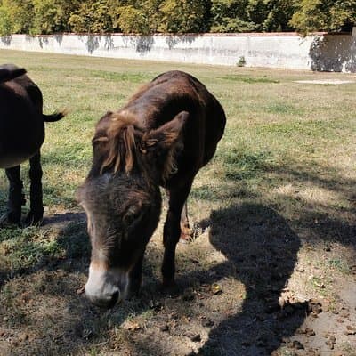 Loire Valley Full-Day Private Guided Tour with Hotel Pickup 3