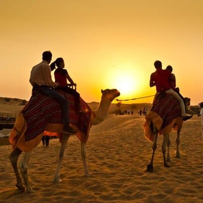 Dubai Desert Safari-Premium 4