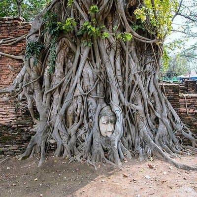 Ayutthaya UNESCO Temples Small Group : Full Day Tour From Bangkok 5